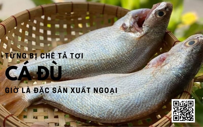 ca-du-tuoi-ca-mau